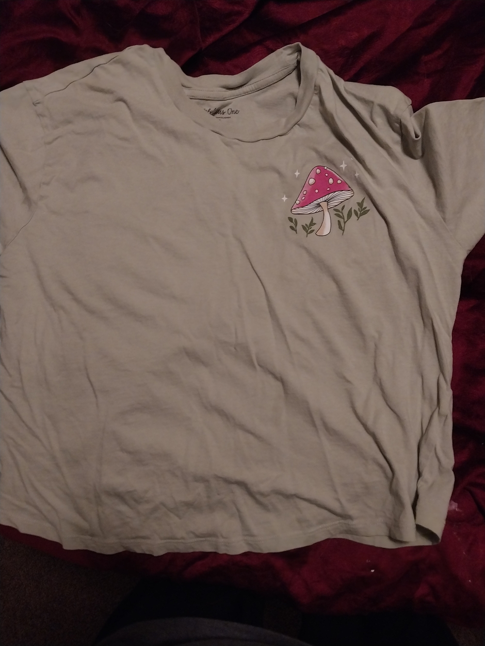 Kids Mushroom Graphic Tee - Sage Green